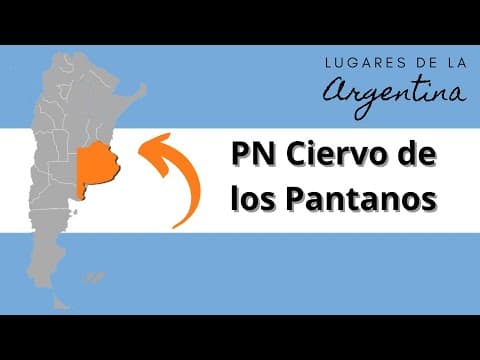 Video Thumbnail: PN Ciervo de los Pantanos (Buenos Aires)