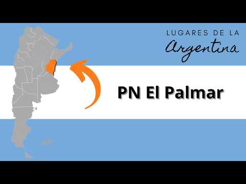 Miniatura del video: PN El Palmar (Entre Ríos). Intendente: Facundo Alcalde Instagram: parquenacionalelpalmaroficial Programa del 19/04/2026 Aportes...