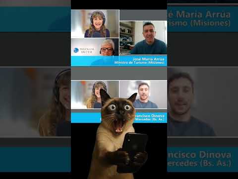 Miniatura del video: Fiestas de este finde          #argentina   #turismo  #lugaresdelaargentina. misiones #buenosaires #tucuman #oberá #mercedes #rauch #famailla #recital #show #musica #fiesta #ave...