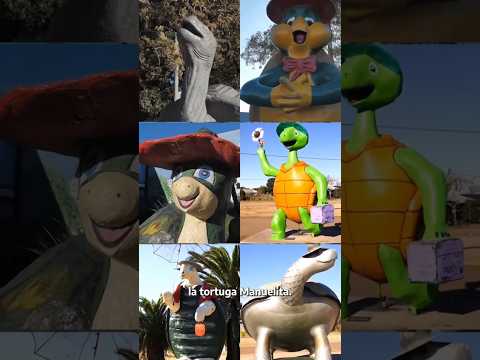 Miniatura del video: Cuna de Manuelita          #buenosaires  #turismo  #lugaresdelaargentina. tortuga #mariaelenawalsh #pehuajo #travel #argentina #paris #cultura #infantil #niños #vacaciones....