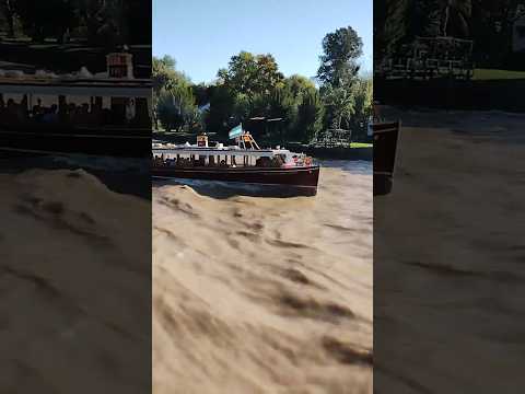 Miniatura del video: Escapate!           #tigre  #turismo  #lugaresdelaargentina. buenosaires #zonanorte #argentina #escapada #findesemana #findelargo #isla #delta #rio #arroyo #natu...