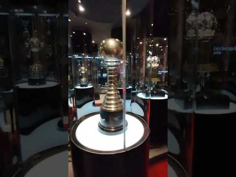 Miniatura del video: Visitá River Plate          #fútbol  #turismo  #lugaresdelaargentina. futbol #estadios #river #carp #museo #camisetas #pelota #balon #historia #vacaciones #tour #experien...
