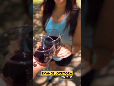 Miniatura del video: Descubrí Amaicha del Valle #tucuman #turismo #lugaresdelaargentina. Comuna #Rural #amaichadelvalle #bodega #vino #museo #pachamama #fiestanacional #cultura #tradicion #...