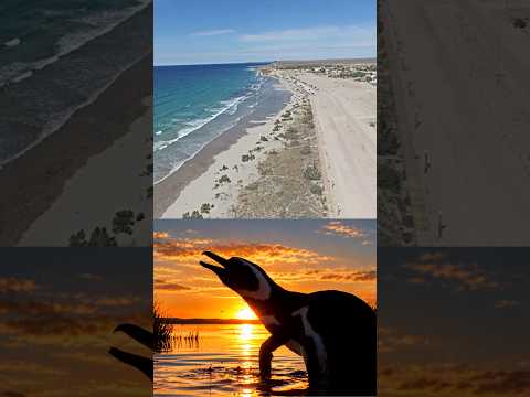 Miniatura del video: Un destino imperdible en la Patagonia #viajes #turismo #lugaresdelaargentina. travel #playa #sierra #mar #verano #trekking #ríonegro #evangelocutora....