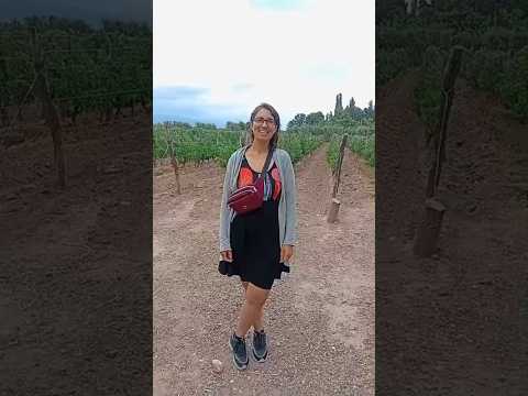 Miniatura del video: Desde Mendoza! #mendoza #turismo #lugaresdelaargentina. montañas #vacaciones #viajes #youtube #bodega #celeste #vino #viñedo #wine #uva #mountains #travel #...