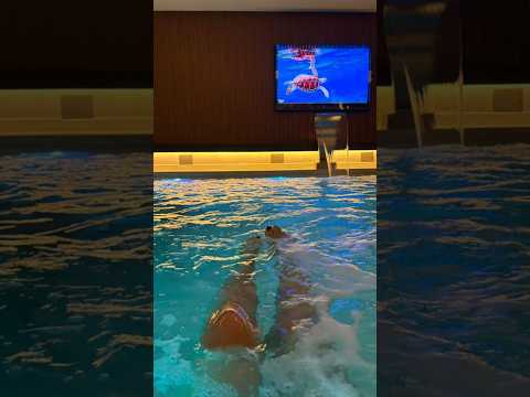 Miniatura del video: Finde largo? #buenosaires #turismo #lugaresdelaargentina. mardelplata #mdq #hotel #piscina #healthclub #gimnasio #parking #restaurant #alojamiento #playa #mar...